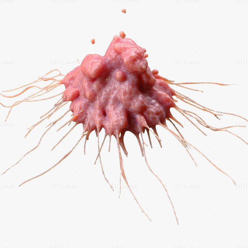 Model 3D de tumoră cu celule canceroase