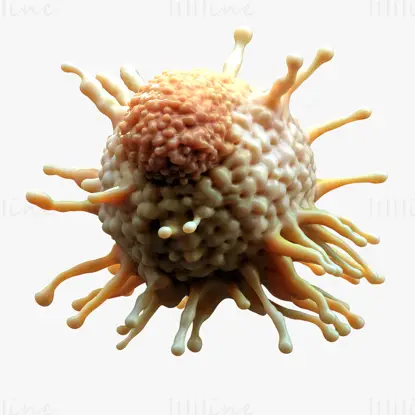 Cancer Cell Tumor 3D Model
