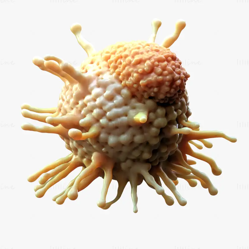 3D-modell av kreftcelletumor