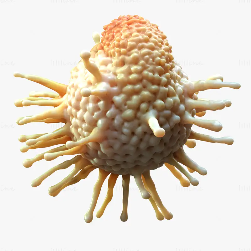 3D-modell av kreftcelletumor