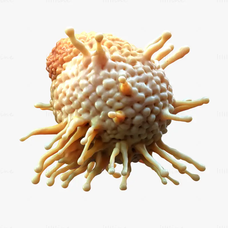 3D-modell av kreftcelletumor