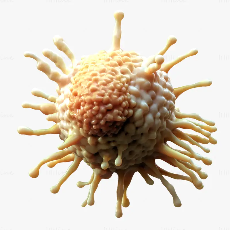 3D-modell av kreftcelletumor