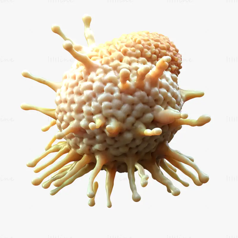 3D-modell av kreftcelletumor