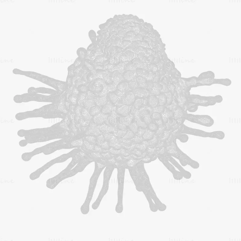3D-modell av kreftcelletumor