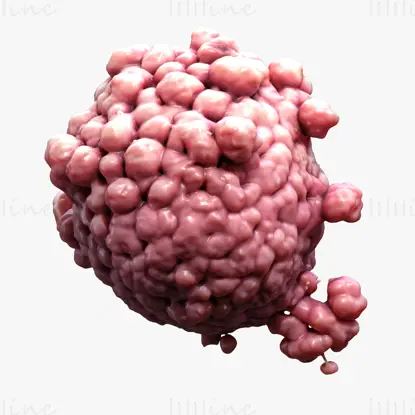 3D-Modell der Krebszelltumoranatomie