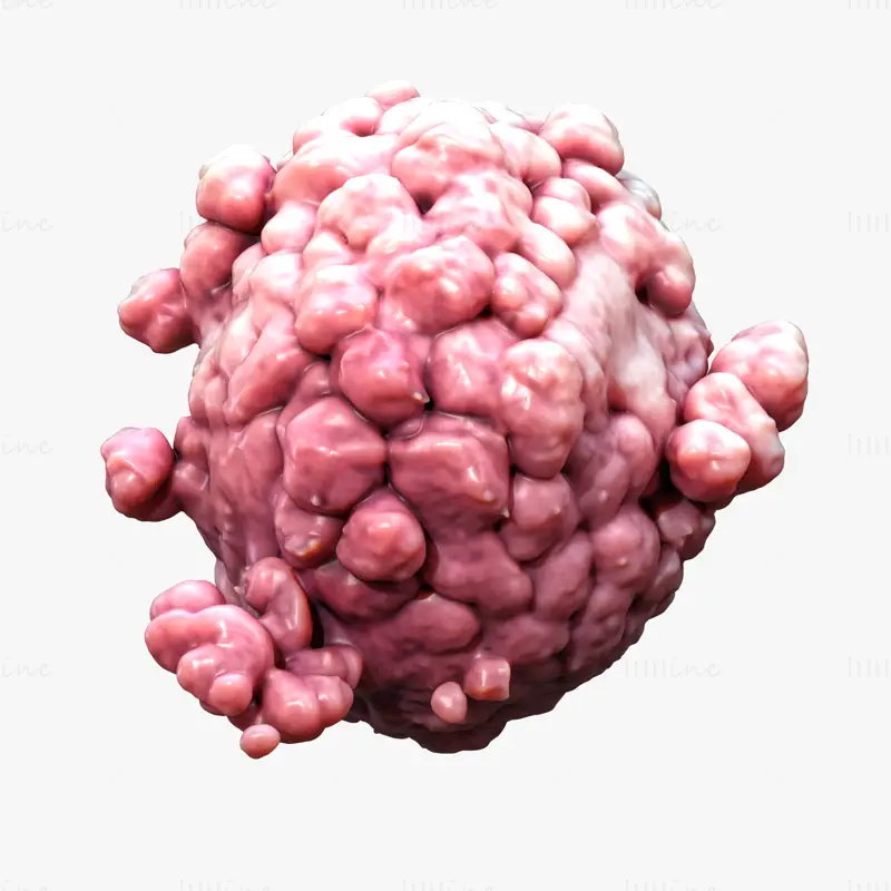 Cancer Cell Tumor Anatomy 3D Model