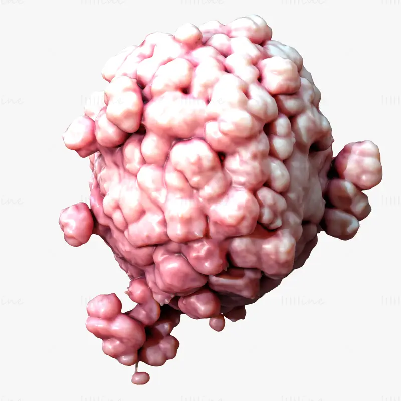 Cancer Cell Tumor Anatomy 3D Model