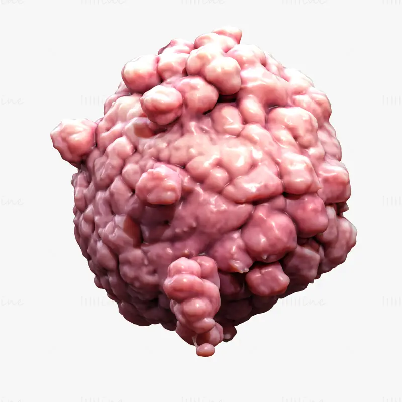 Cancer Cell Tumor Anatomy 3D Model