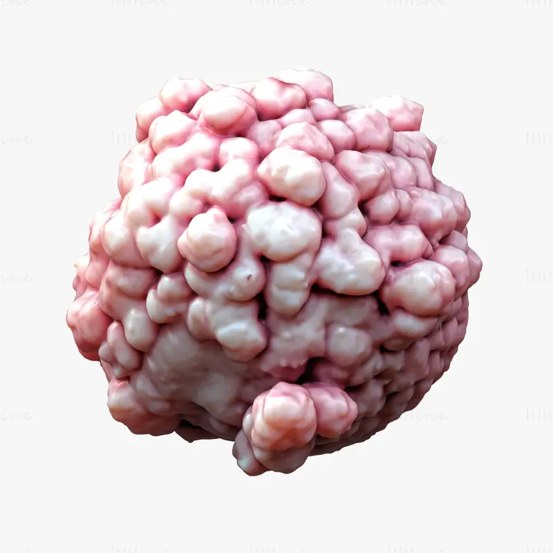 Cancer Cell Tumor Anatomy 3D Model