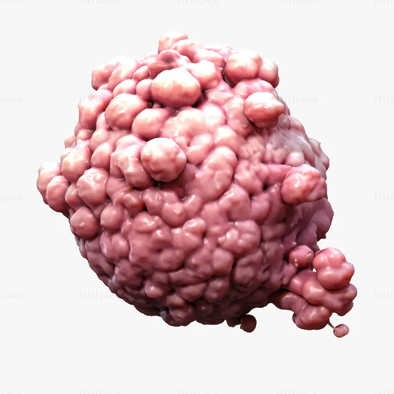 Cancer Cell Tumor Anatomy 3D Model
