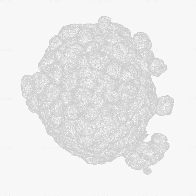 Cancer Cell Tumor Anatomy 3D Model