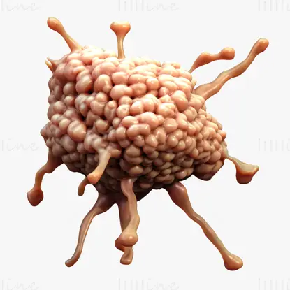 3D-Modell der Krebszelltumorbiologie
