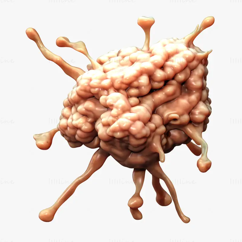 Cancer Cell Tumor Biology 3D Model