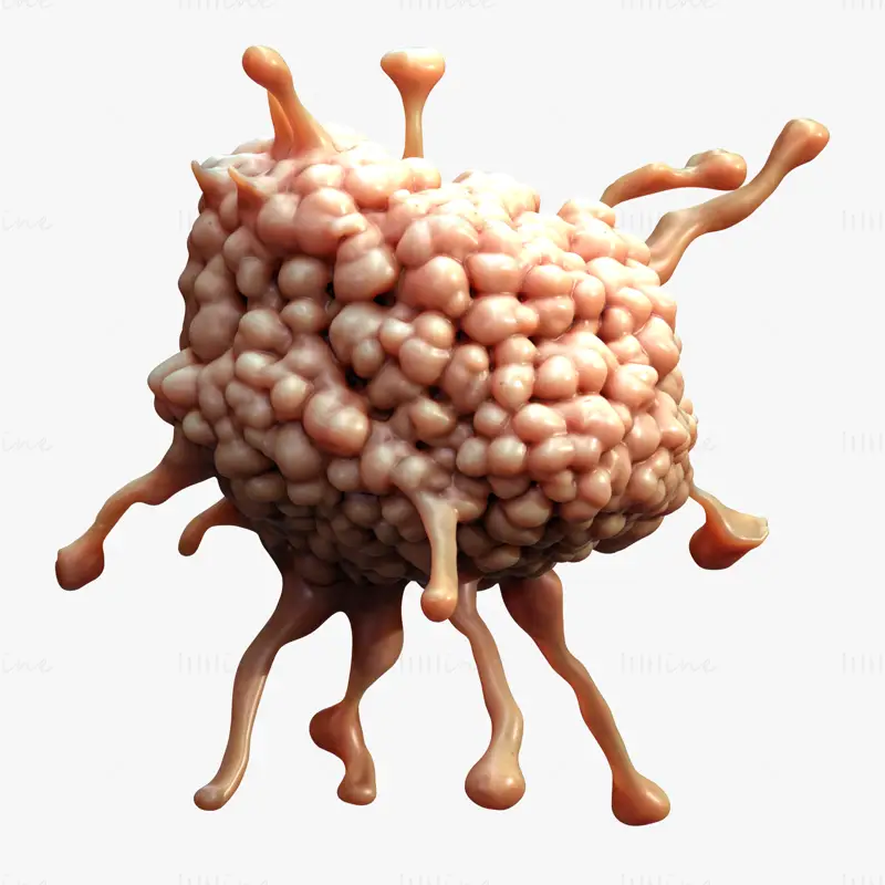 Cancer Cell Tumor Biology 3D Model