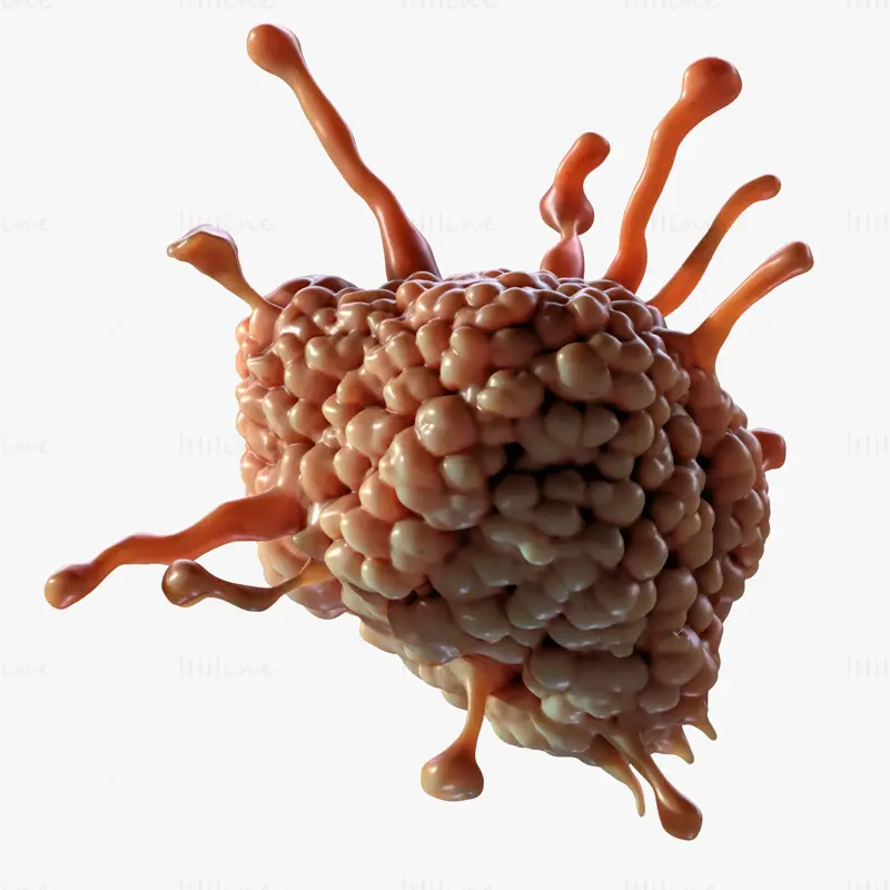 Cancer Cell Tumor Biology 3D Model