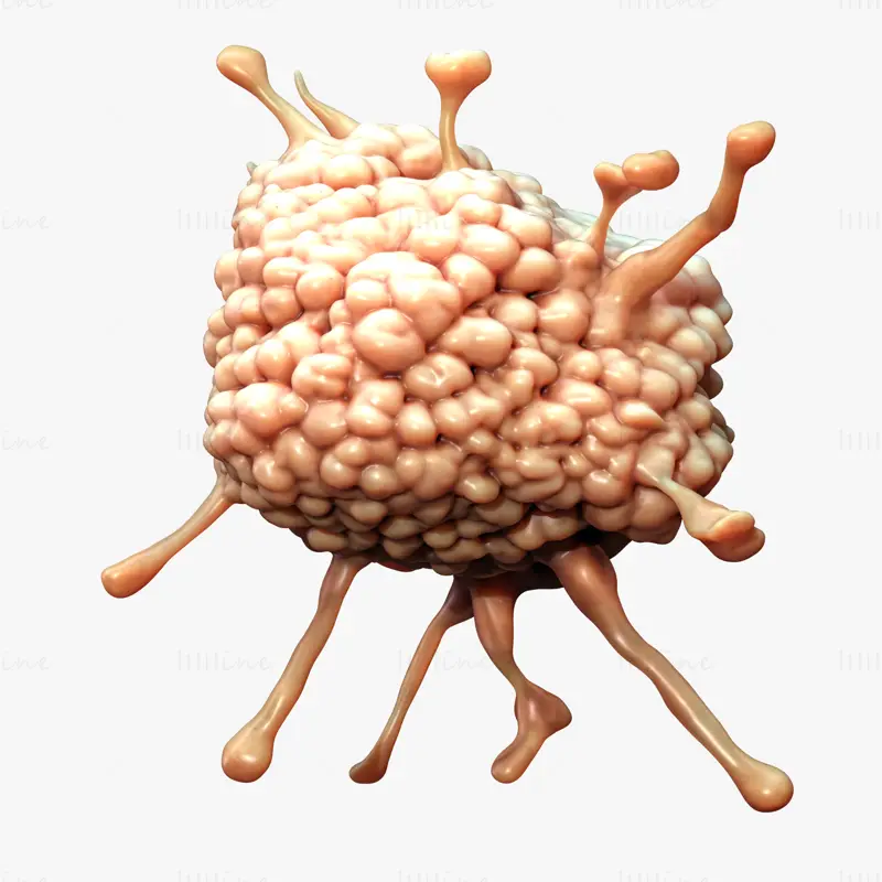 Cancer Cell Tumor Biology 3D Model