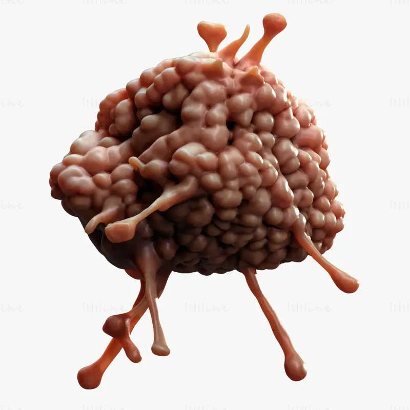 Cancer Cell Tumor Biology 3D Model