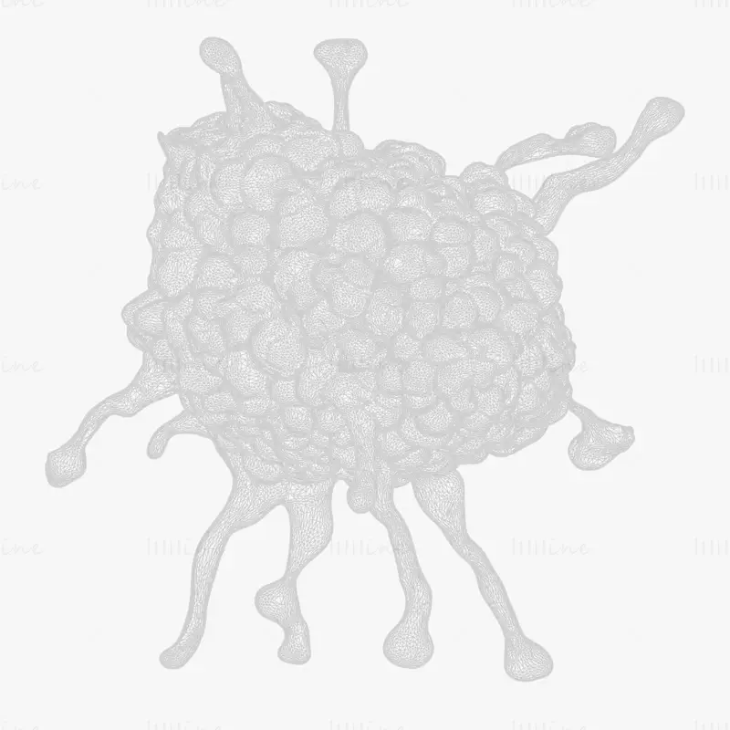 Cancer Cell Tumor Biology 3D Model