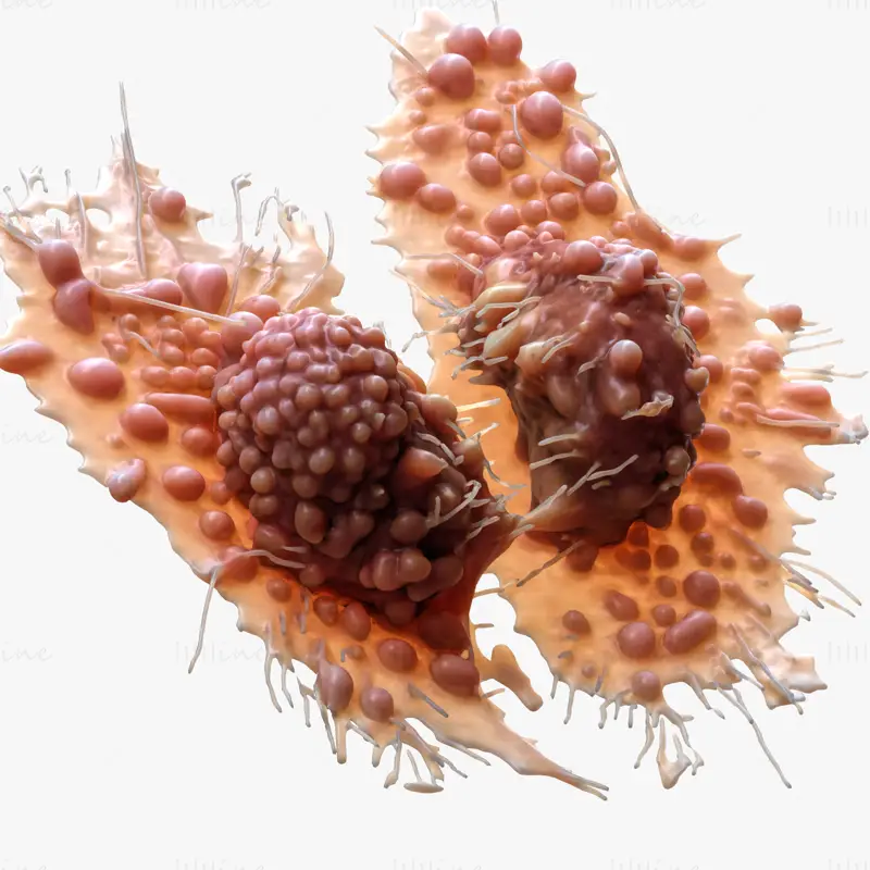 3D model mixéru nádorových buněk rakoviny