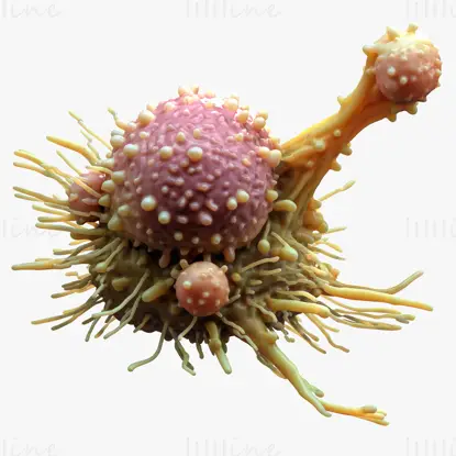 Krebszelltumor C4D 3D-Modell