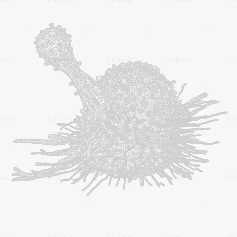 Cancer Cell Tumor C4D 3D Model