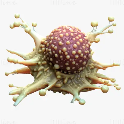 Krebszelltumor HD 3D-Modell