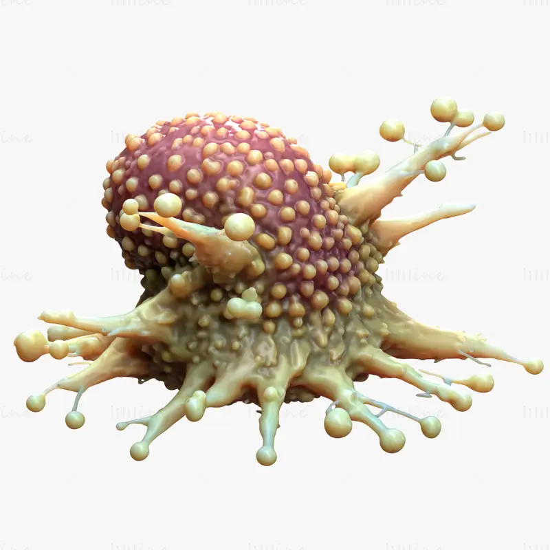 Cancer Cell Tumor HD 3D Model