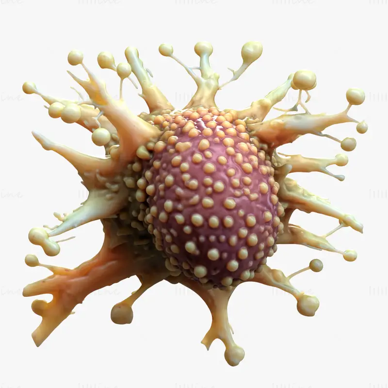 Cancer Cell Tumor HD 3D Model