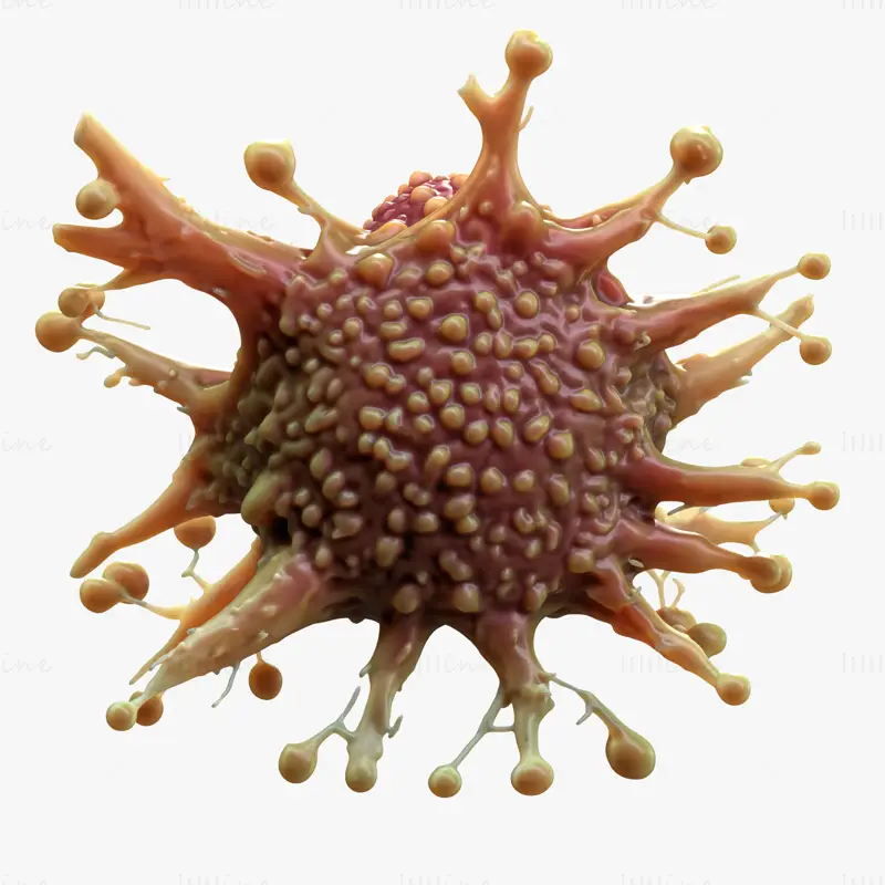 Cancer Cell Tumor HD 3D Model