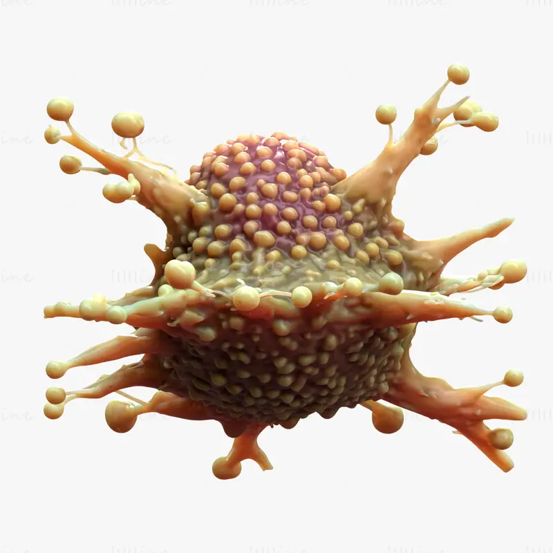 Cancer Cell Tumor HD 3D Model
