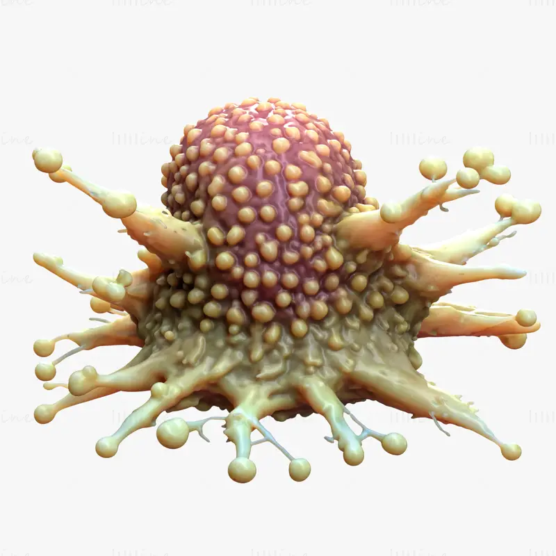 Cancer Cell Tumor HD 3D Model
