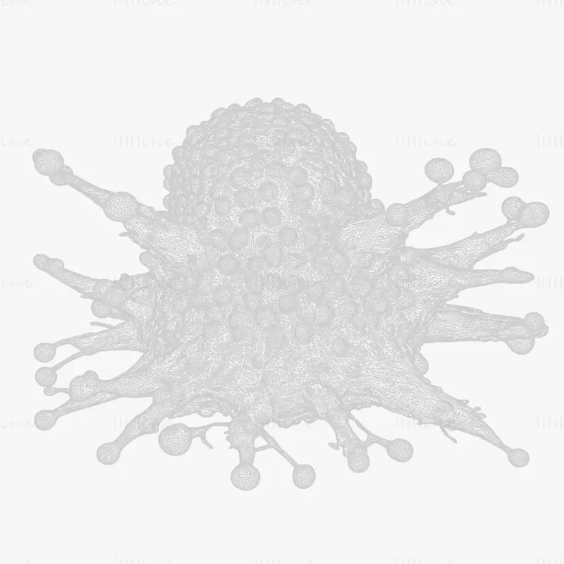 Cancer Cell Tumor HD 3D Model