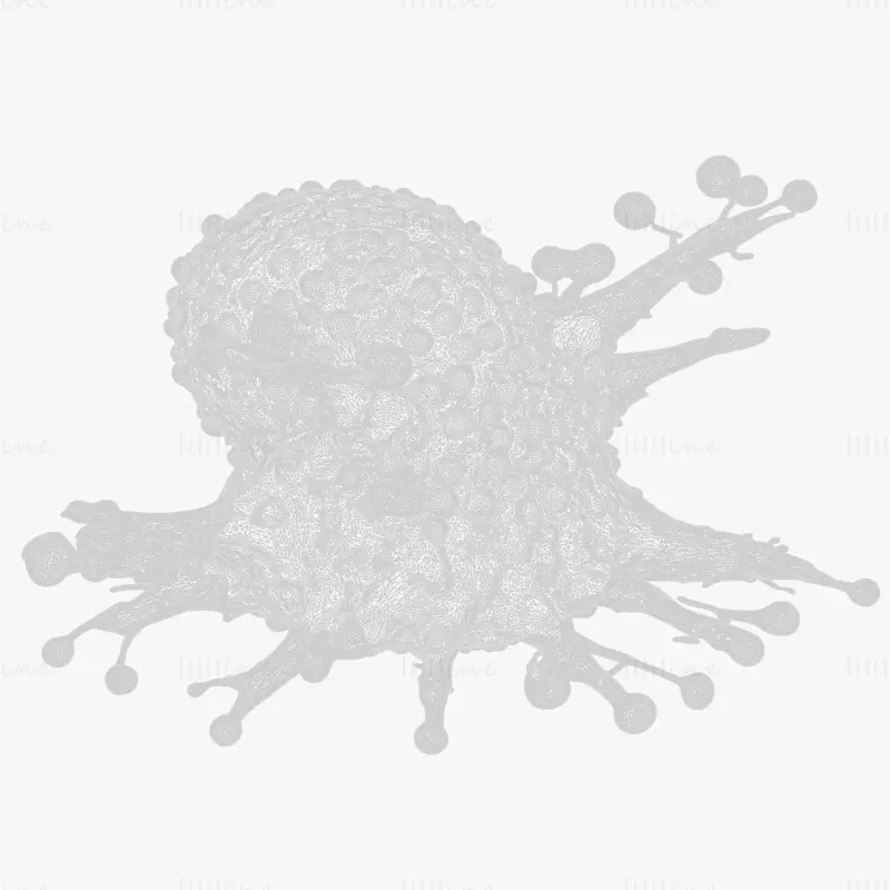 Cancer Cell Tumor HD 3D Model