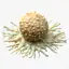 Cancer Cell Tumor Medical 3D Model