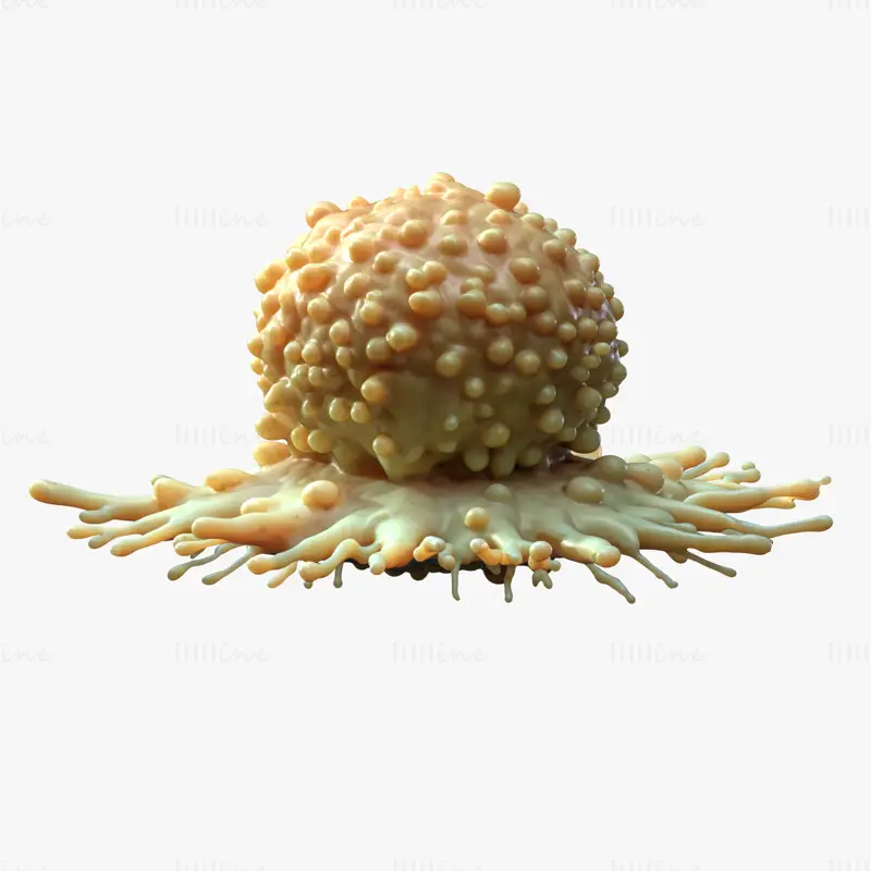 Medisinsk 3D-modell av kreftcelletumor