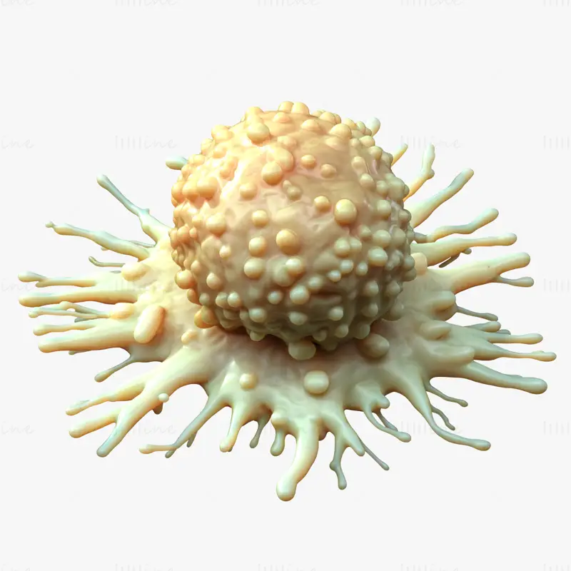 Medisinsk 3D-modell av kreftcelletumor