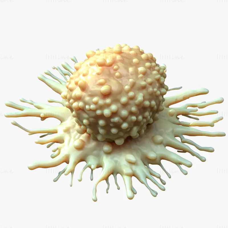 Medisinsk 3D-modell av kreftcelletumor