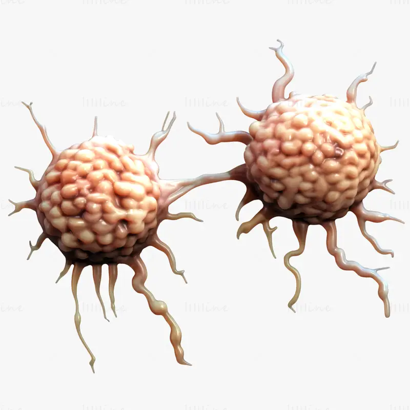 Cancer Cell Tumor Medical Science 3D Model