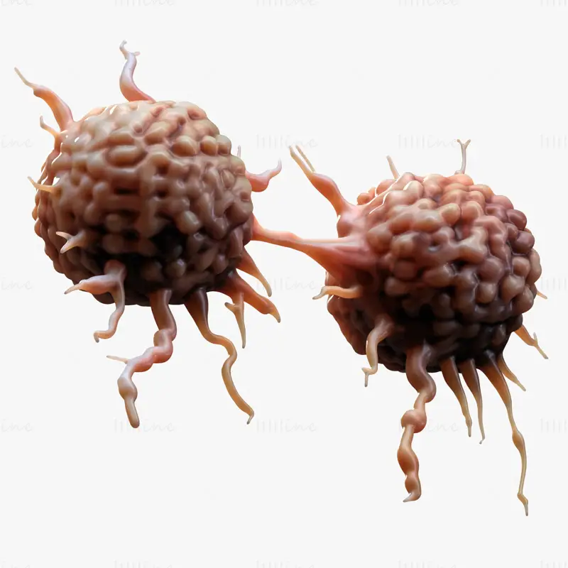 Cancer Cell Tumor Medical Science 3D Model