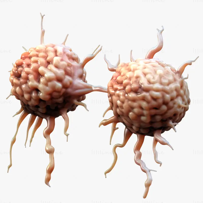 Cancer Cell Tumor Medical Science 3D Model