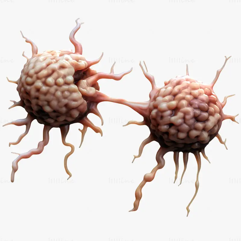 Cancer Cell Tumor Medical Science 3D Model