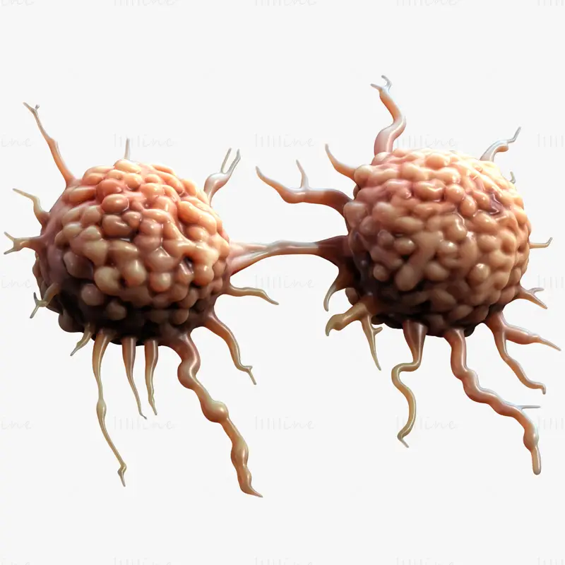 Cancer Cell Tumor Medical Science 3D Model