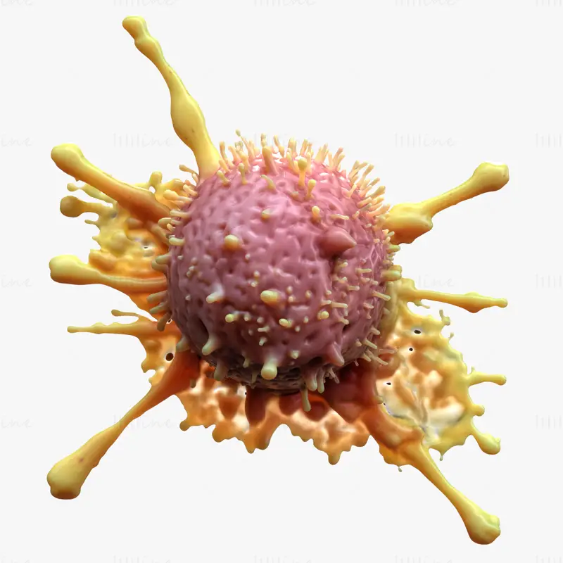 Cancer Cell Tumor Multi Format 3D Model