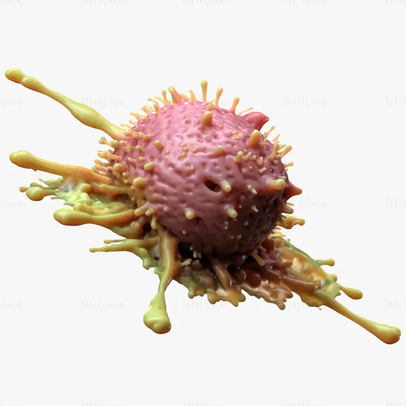 Cancer Cell Tumor Multi Format 3D Model