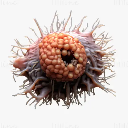 Krebszelltumor OBJ STL 3DS FBX C4D Blend 3D-Modelldatei