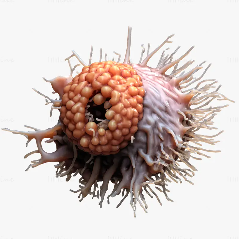 Cancer Cell Tumor OBJ STL 3DS FBX C4D Blend 3D Model File