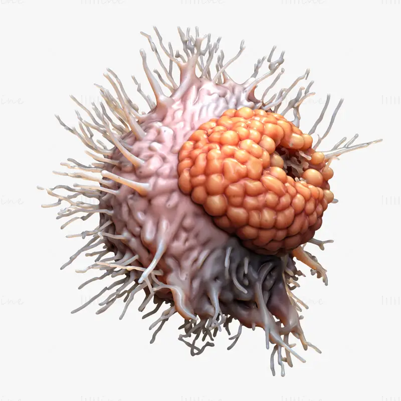 Cancer Cell Tumor OBJ STL 3DS FBX C4D Blend 3D Model File
