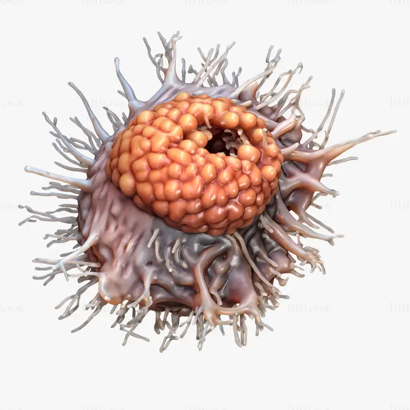 Cancer Cell Tumor OBJ STL 3DS FBX C4D Blend 3D Model File