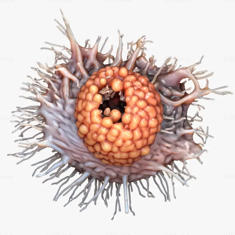 Cancer Cell Tumor OBJ STL 3DS FBX C4D Blend 3D Model File