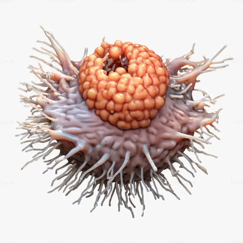 Cancer Cell Tumor OBJ STL 3DS FBX C4D Blend 3D Model File
